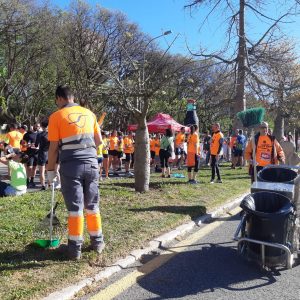 carrera-ponle-freno